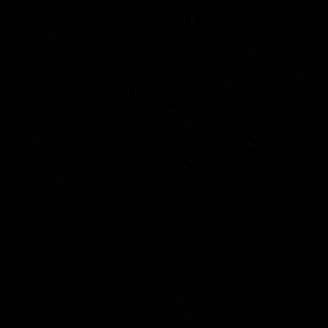 Meet your Posher, Bree